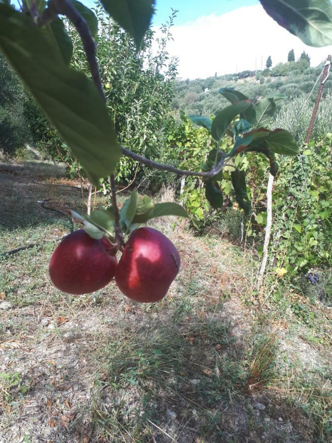 Villa Irini - Cretan Luxury Villa With Amazing View Paraspori  외부 사진